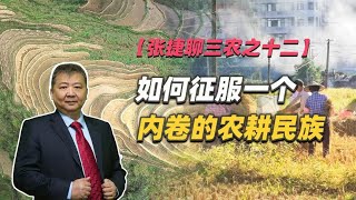 【张捷聊三农之十二】如何征服一个内卷的农耕民族