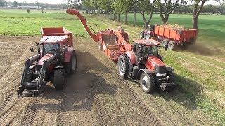 Harvesting potatoes with Case IH \u0026 Grimme