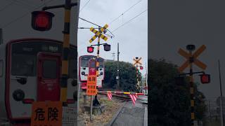 JR豊肥本線 田崎2号踏切 熊本〜平成駅間 #踏切カンカン #train #電車