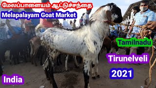 மேலப்பாளையம் ஆட்டு சந்தை/Melapalayam Goat market - Tirunelveli- @tamilvivasayi