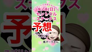 2024/09/08 セントウルステークス予想　マグネット競馬予想UMAJO 馬マークさん予想　セントウルS 本命はピューロマジック