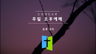 주일오후예배실황(2025년01월12일)