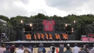 桃山学院大学 よさこい連「真輝-SANAGI-」　2016.09.17こいや祭り4K動画