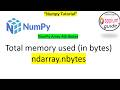 NumPy Array Attributes #6 | 