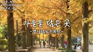 올 가을 꼭 가봐야 할  경남 단풍 명소 경남수목원 | 96초 가을여행