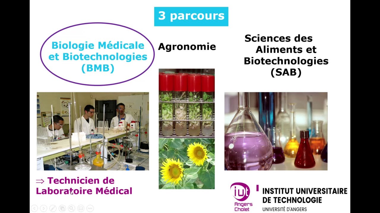 GB-Présentation B.U.T. Parcours Biologie Médicale Et Biotechnologie ...