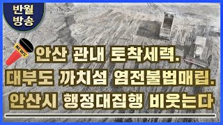 안산관내토착세력 까치섬 염전불법매립...안산시 행정대집행 비웃는다