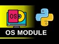Everything You Need to Know About the Python OS Module!