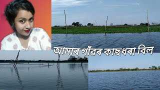 কিমান ডাঙৰ আমাৰ গাঁৱৰ কাছধৰা বিল খন চাওক। বহুত দিনৰ মূৰত বিল খনত এবাৰ নাৱত উঠিলোঁ।