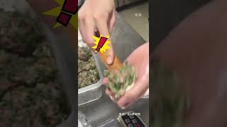 馅大皮薄！女生用瓶盖大小的面团包住了拳头大小的肉馅