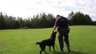 Our K-9 Unit - Greater Sudbury Police Service