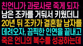 실화사연친언니가 과로사로 죽게 되자 남은 조카를 거둬서 키웠더니 20년 뒤 조카가 결혼할 남자를 데려오자, 끔찍한 인연을 끝내고 죽은 언니의 복수를 성공하는데