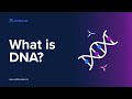 What Is DNA And How Does It Work? | SelfDecode Learn