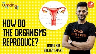 Super Easy Way to Learn How do Organisms Reproduce - 3 | CBSE Class 10 Science Chapter 8 (2019)