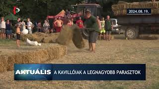 Aktuális – 2024.08.19.