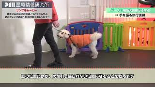 【獣医】有馬先生「聴導犬＆介助犬の訓練ノウハウから学ぶ　愛犬のしつけ講座～問題行動も楽しく治す～」