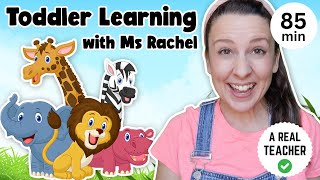 Toddler Learning with Ms Rachel - Learn Zoo Animals - Kids Songs - Educational s