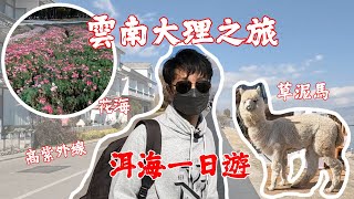 【家庭vlog】雲南大理之旅第二集! ! 究竟睇唔睇到日出? 終於可以一睹洱海美景 !! 大理最麻煩係應付紫外線?