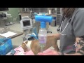 Kennel cough pneumonia in a dog | VETgirl Veterinary CE Videos Kennel cough pneumonia in a dog | VETgirl Veterinary CE Videos