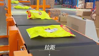 Sorting Line in Customer Site Snack brand