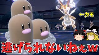 最強特性と○○テラスでカイリューを後出しから完封できるダグトリオさん【ポケモンSV ゆっくり実況】