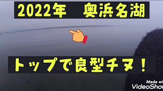 6月の奥浜名湖ポッパーで良型！【浜名湖/トップチヌ/チニング】