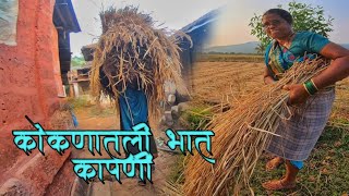 आईसोबत गेलो खारीत भारे आणायला🌾🌾 | गावाकडची भात कापणी 🌾| #ravindrashigwan #kokan #भातकापनी #कोकण