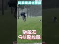 柴犬無懼海葵出門便便！　鏟屎官全濕崩潰：動作快｜tvbs新聞｜擠看看 shorts