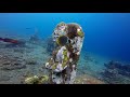 Dive on Tulamben's Coral Garden with Abyss Dive Center Bali