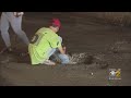 Drivers Furious As South Side Pothole Shreds Tires