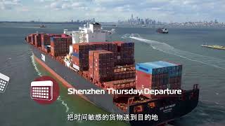 ZEX - ZIM eCommerce Xpress Line (Chinese Subtitles)