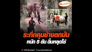 ระทึกคุมช้างตกมัน หนัก 5 ตันดิ้นหลุดโซ่