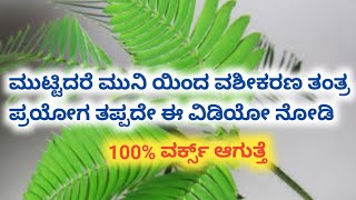 #vashikaran in Kannada ಮುಟ್ಟಿದರೆ ಮುನಿ ಯಿಂದ  ಶಕ್ತಿ ಶಾಲಿ ವಶೀಕರಣ ತಂತ್ರ ತಪ್ಪದೇ ಈ ವಿಡಿಯೋ ನೋಡಿ