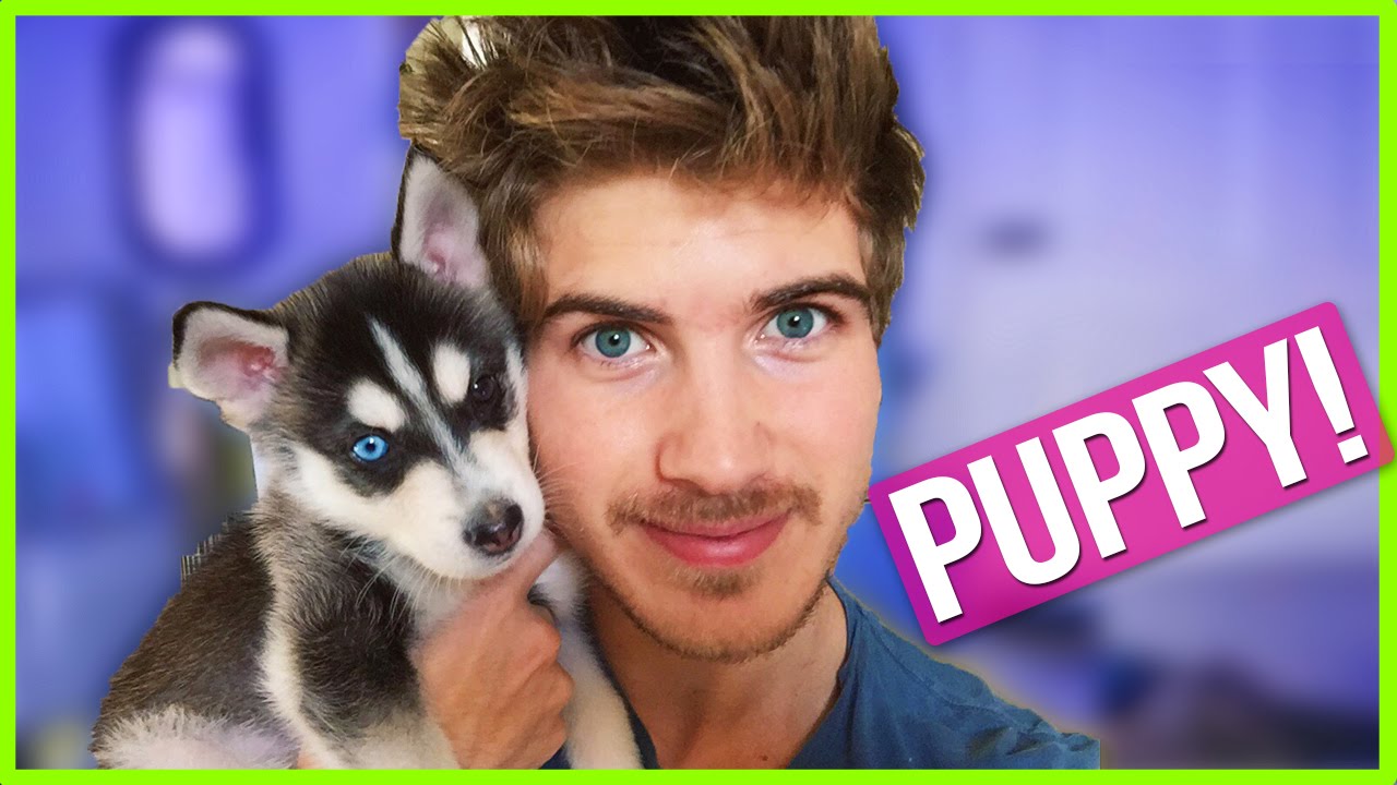 I Got A Puppy Youtube