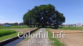 八王子市シティプロモーション動画「Colorful Life」