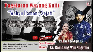 LIVE - WAYANG KULIT 