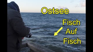 Mega Fang an der Ostsee! Hier fängt jetzt jeder Fisch im Winter! Angeln von der Seebrücke.