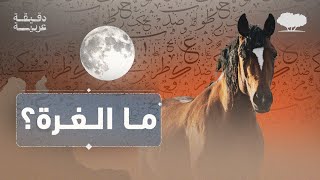 دقيقة عربية - الحلقة الثانية | ما الغُرّة؟