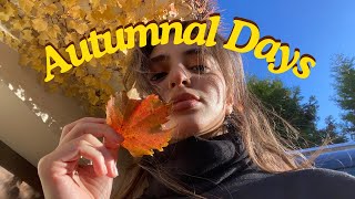 Autumn in Warsaw vlog 🍁 │ Halloween, university & more 🦇🎃