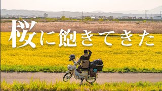 [日本一周] 角田市の菜の花畑から岩手県へ行ってみた #12