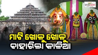 ମାଟି ଖୋଳୁ ଖୋଳୁ ବାହାରିଲା କାଳିଆ | Baladevjew Temple | Khabar Odisha