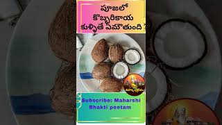 పూజలో కొబ్బరికాయ కుళ్ళితే ఏమౌతుంది ?| IF COCONUT ROTS DURING THE PUJA ?|