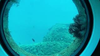 足摺海底館（海中展望塔）　天然の水族館　高知県