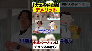 犬の避妊去勢とは？理解しておきたいデメリット