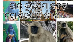 ଚାଲ ବୁଲିଯିମା ବୃବୁଡ଼ା ମହା ଶିବରାତ୍ରି ମେଳା // celebrate maha shivaratri in Brubuda #mahashivaratri