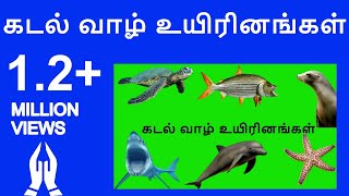 கடல் வாழ் உயிரினங்கள் | Learn Tamil sea animals names video for kids and Children