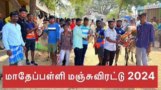 மாதேப்பள்ளி மஞ்சுவிரட்டு 2024 | Madepalli Bull Festival 2024 | Kicha Village Vlogs | KVV