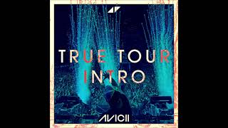 Avicii - True Tour Intro