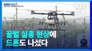 꿀벌 대신 이젠 ‘드론’…사과 농가 인공수분 첫 선 / KBS  2022.05.02.