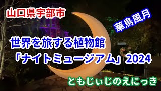 世界を旅する植物館ときわミュージアムの「ナイトミュージアム2024」週末の夜だけ、植物館を開館！　特別な夜を楽しめます。（山口県宇部市観光）